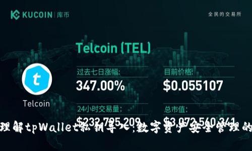 深入理解tpWallet私钥导入：数字资产安全管理的关键