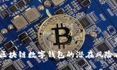 深入解析：区块链数字钱包的潜在风险与应对策