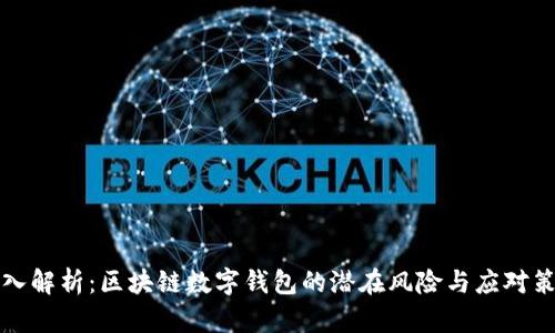 深入解析：区块链数字钱包的潜在风险与应对策略
