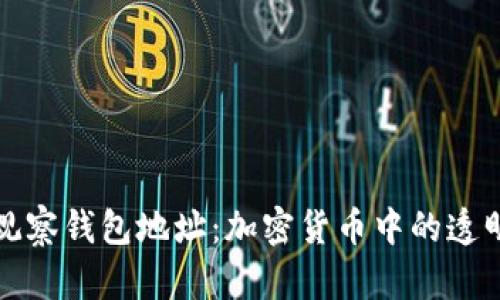 深入分析TP观察钱包地址：加密货币中的透明性与安全性