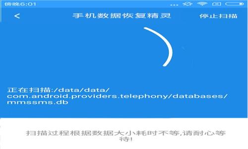   
深度解析数字货币钱包的多样产品：哪些才能满足你的需求？