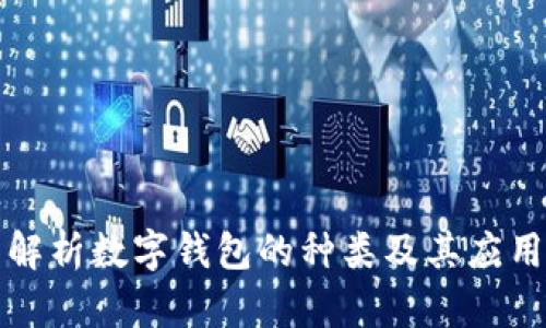 全面解析数字钱包的种类及其应用前景