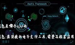 数字钱包是哪个app的数字钱包：最便捷的电子支