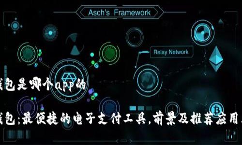数字钱包是哪个app的

数字钱包：最便捷的电子支付工具，前景及推荐应用大盘点