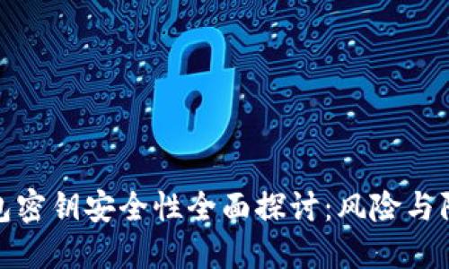 数字钱包密钥安全性全面探讨：风险与防护策略