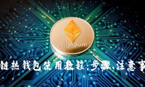 全面解析区块链热钱包使用教程：步骤、注意事项与最佳实践