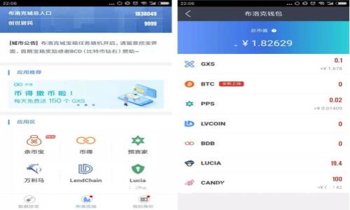 全面解析国内虚拟数字钱包的使用方法与应用场景