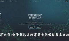 数字时代：电子钱包与数字货币的崛起与未来趋
