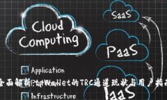 全面解析：tpWallet的TRC通道现状与用户指南