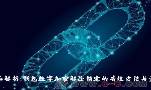 全面解析：钱包数字加密解除锁定的有效方法与步骤