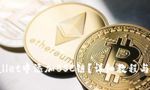 如何在TP Wallet中添加BSC链？详细教程与常见问题解析