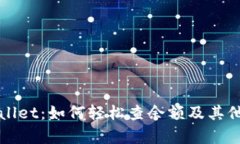 揭秘tpWallet：如何轻松查余额及其他实用功能