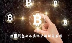 数字钱包的各类账户解析与应用
