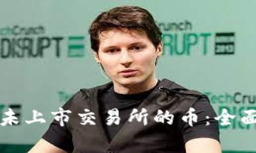 在tpWallet购买未上市交易所的币：全面指南与实用技巧
