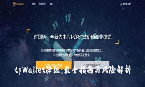 tpWallet降级：最全指南与风险解析