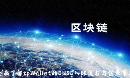 
全面了解tpWallet的BUSD入账流程与注意事项