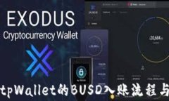 全面了解tpWallet的BUSD入账流程与注意事项