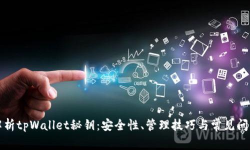全面解析tpWallet秘钥：安全性、管理技巧与常见问题解答