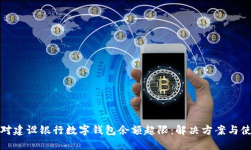 如何应对建设银行数字钱包余额超限：解决方案与使用技巧