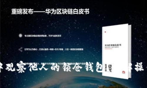 如何在tpWallet中观察他人的锁仓钱包？详解操作技巧与实用策略