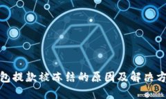 数字钱包提款被冻结的原因及解决方案详解