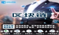 探秘德国P数字钱包：数字支付的未来与安全性详