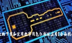 如何安全高效地下载和使用数字钱包红利版应用