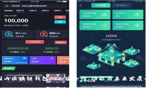 探秘国内区块链钱包APP：安全性、功能与未来发展全解析