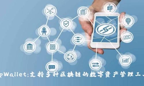 tpWallet：支持多种区块链的数字资产管理工具