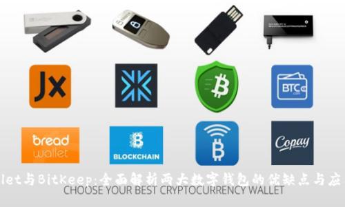 tpWallet与BitKeep：全面解析两大数字钱包的优缺点与应用场景