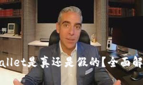 如何分辨tpWallet是真还是假的？全面解析与实用技巧
