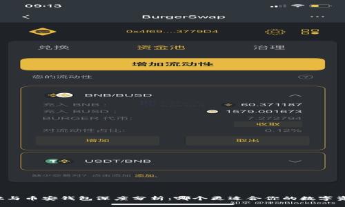 tpWallet与币安钱包深度分析：哪个更适合你的数字资产管理？