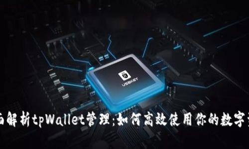 全面解析tpWallet管理：如何高效使用你的数字资产