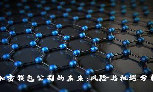 加密钱包公司的未来：风险与机遇分析