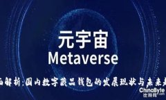 全面解析：国内数字藏品钱包的发展现状与未来