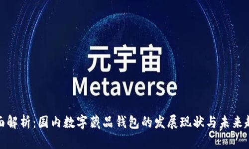 全面解析：国内数字藏品钱包的发展现状与未来趋势