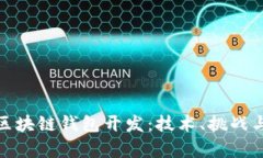 全面解析区块链钱包开发：技术、挑战与未来趋
