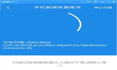 全面解析：数字钱包续签流程与技巧，确保你的数字资产安全无忧