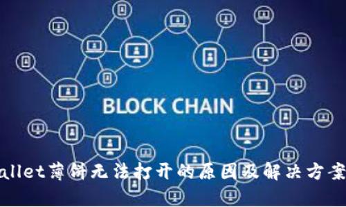 tpWallet薄饼无法打开的原因及解决方案详解