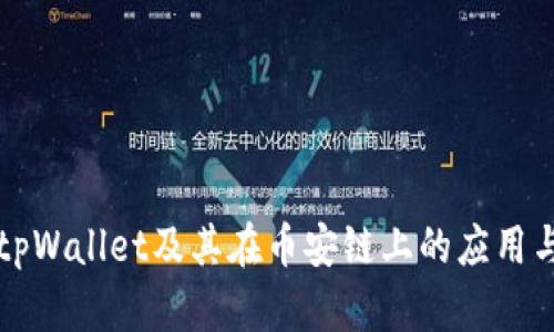 深入探讨tpWallet及其在币安链上的应用与地址管理