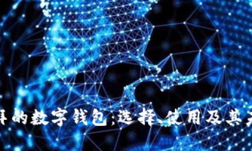 探索迪拜的数字钱包：选择、使用及其未来发展
