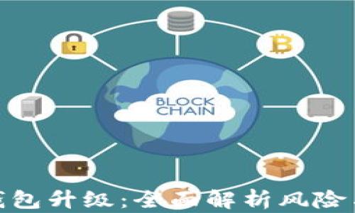
数字钱包升级：全面解析风险与机遇