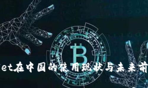 tpWallet在中国的使用现状与未来前景分析