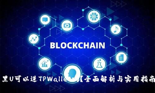 黑U可以进TPWallet吗？全面解析与实用指南