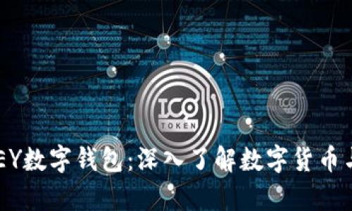 全面解析ABEY数字钱包：深入了解数字货币与区块链世界