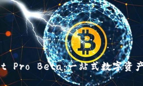 探索 tpWallet Pro Beta：一站式数字资产管理的新纪元
