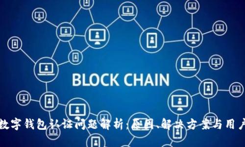 挪威数字钱包认证问题解析：原因、解决方案与用户指南