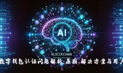 挪威数字钱包认证问题解析：原因、解决方案与