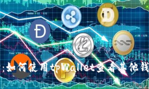 深入探讨：如何使用tpWallet查看其他钱包的资产