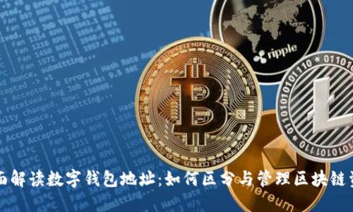 全面解读数字钱包地址：如何区分与管理区块链资产